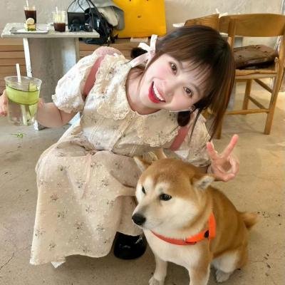 永远的托词